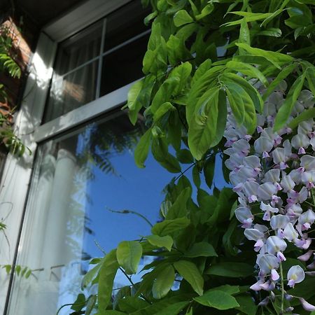 Studio Elisabeth Apartment Bruges Exterior foto