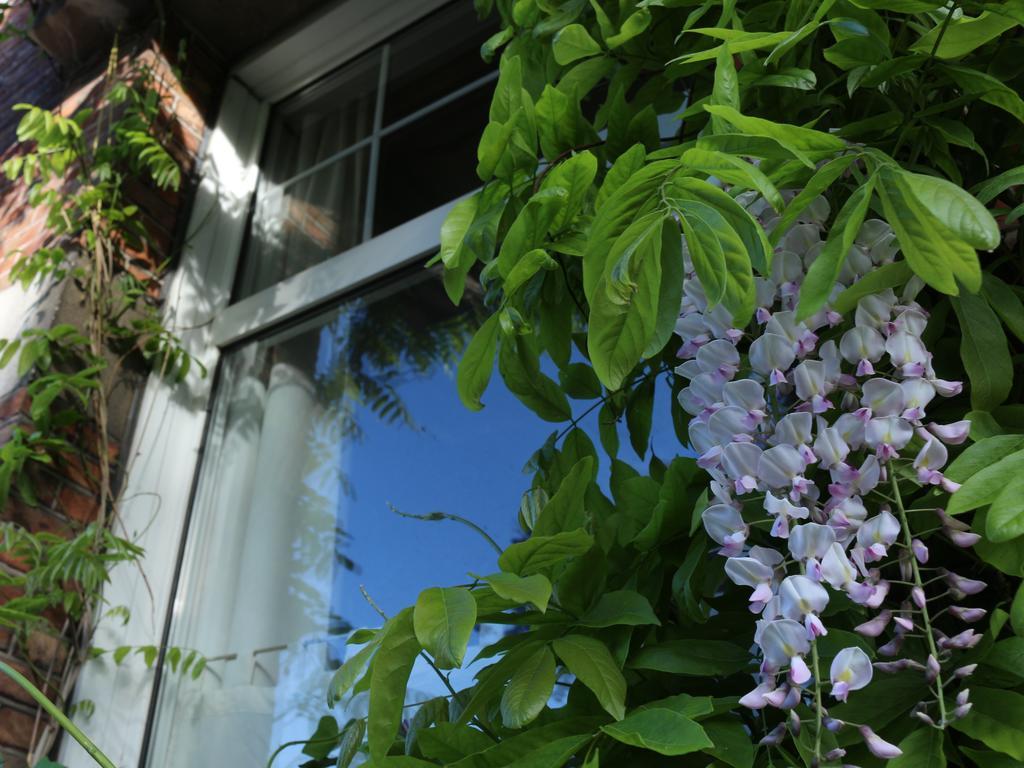 Studio Elisabeth Apartment Bruges Exterior foto